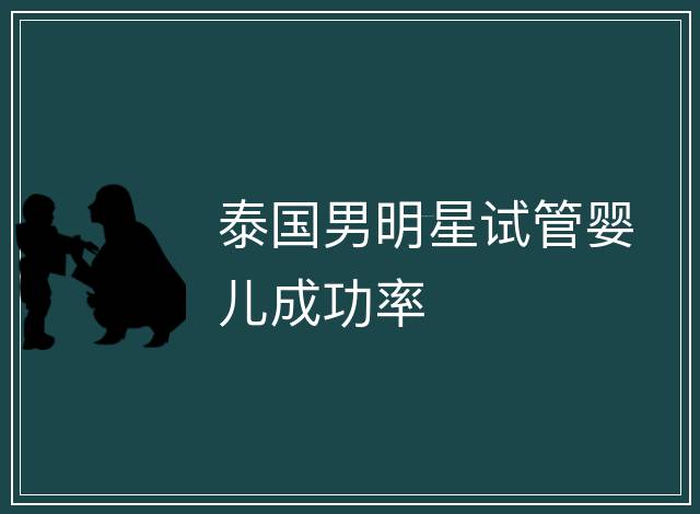 泰國男明星試管嬰兒成功率
