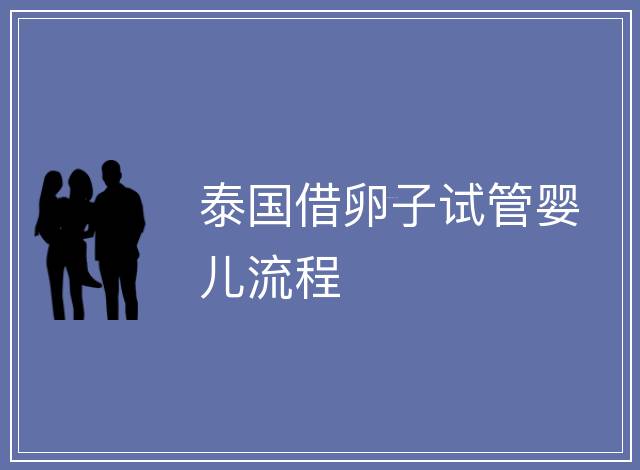 泰國借卵子試管嬰兒流程