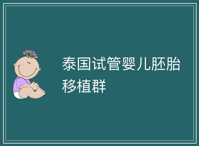 泰國(guó)試管嬰兒胚胎移植群