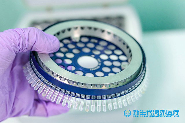 泰國試管及時為什么好