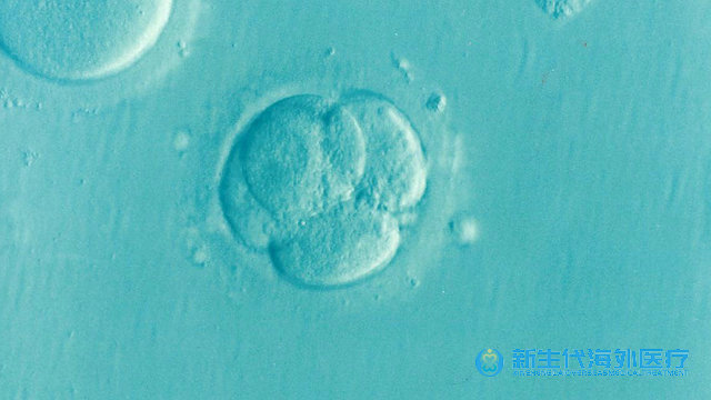 有姐妹一起泰國試管