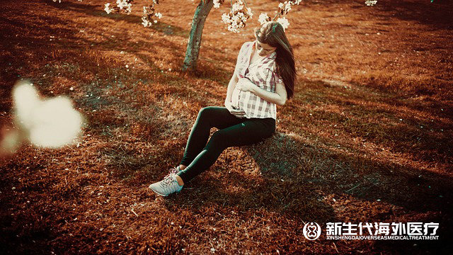 在泰國做試管嬰兒要多少錢