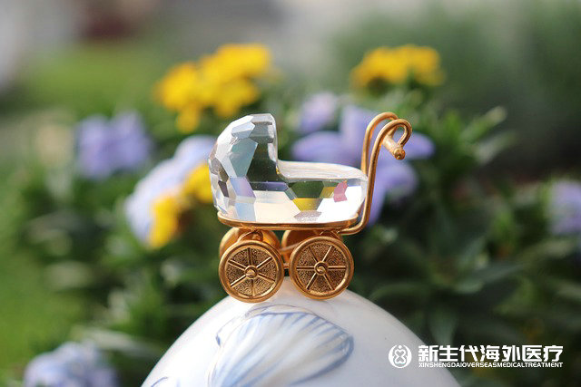 泰國子宮早衰試管短周期
