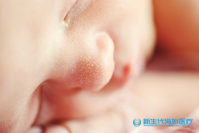 泰國(guó)捐卵試管法律禁止嗎