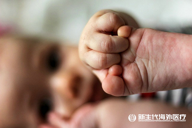 泰國試管嬰幼兒流程