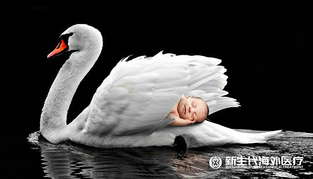 福州泰國試管嬰兒醫院