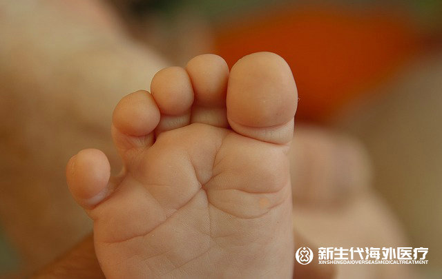 辦海外生子中介需要資質