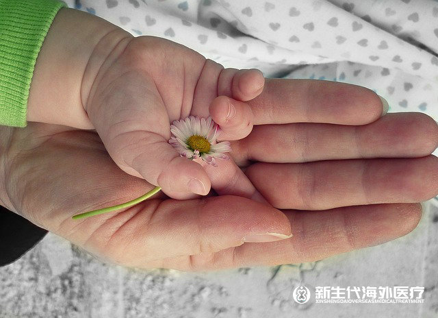 泰國男同試管胚胎解凍的定價