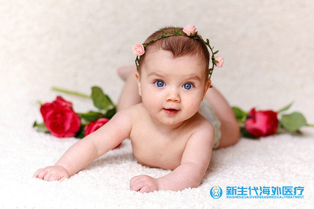 泰國試管嬰兒地接團隊 泰國試管嬰兒地接團隊