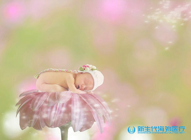 泰國供卵試管多少錢 泰國供卵試管多少錢
