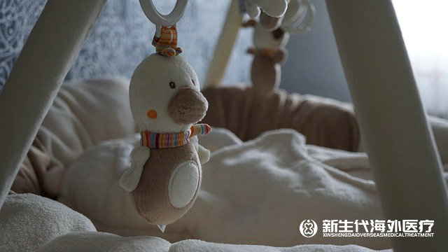 泰國試管流程滔滔顧問首選