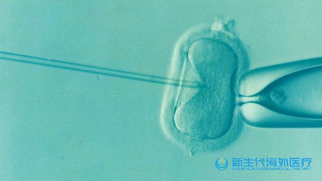 泰國試管嬰兒成功率是多少