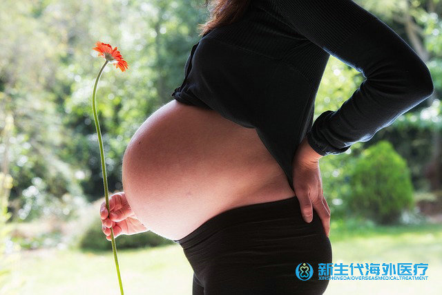 拉拉去泰國做試管嬰兒