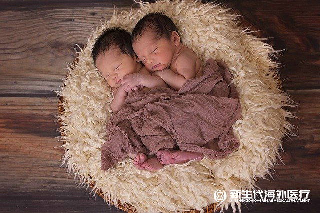 海外生子的基本
