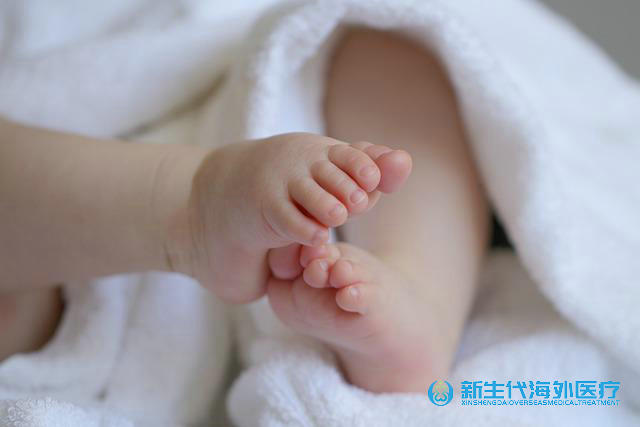 泰國試管助孕價格