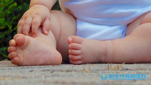 泰國卵巢早衰試管取精