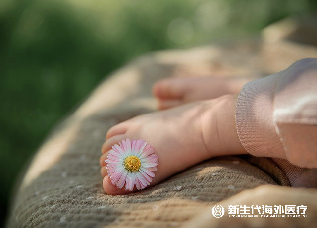 泰國皮肌炎試管嬰兒檢查流程